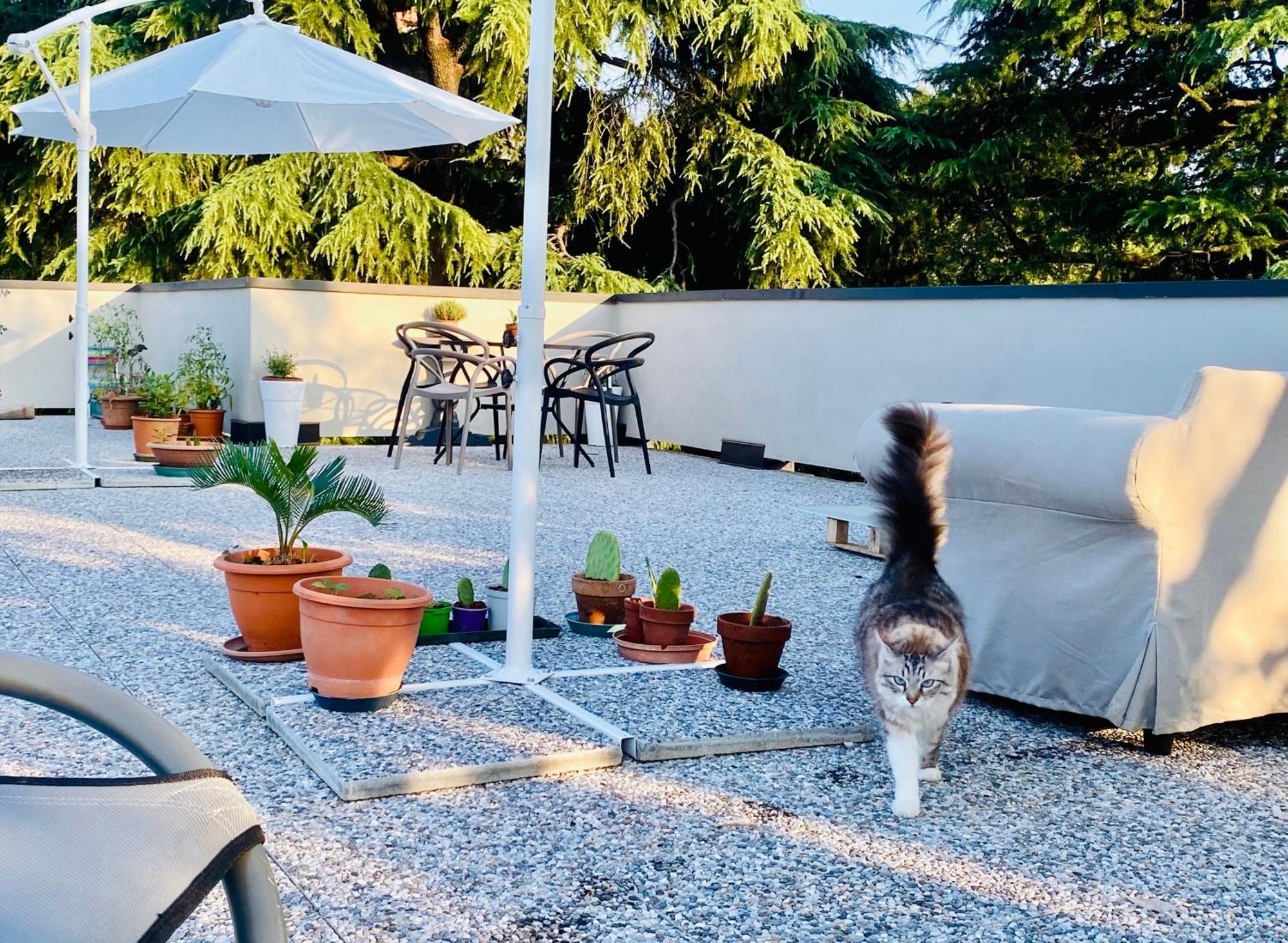 The Luxory Cat Bed & Breakfast มิลาน ภายนอก รูปภาพ