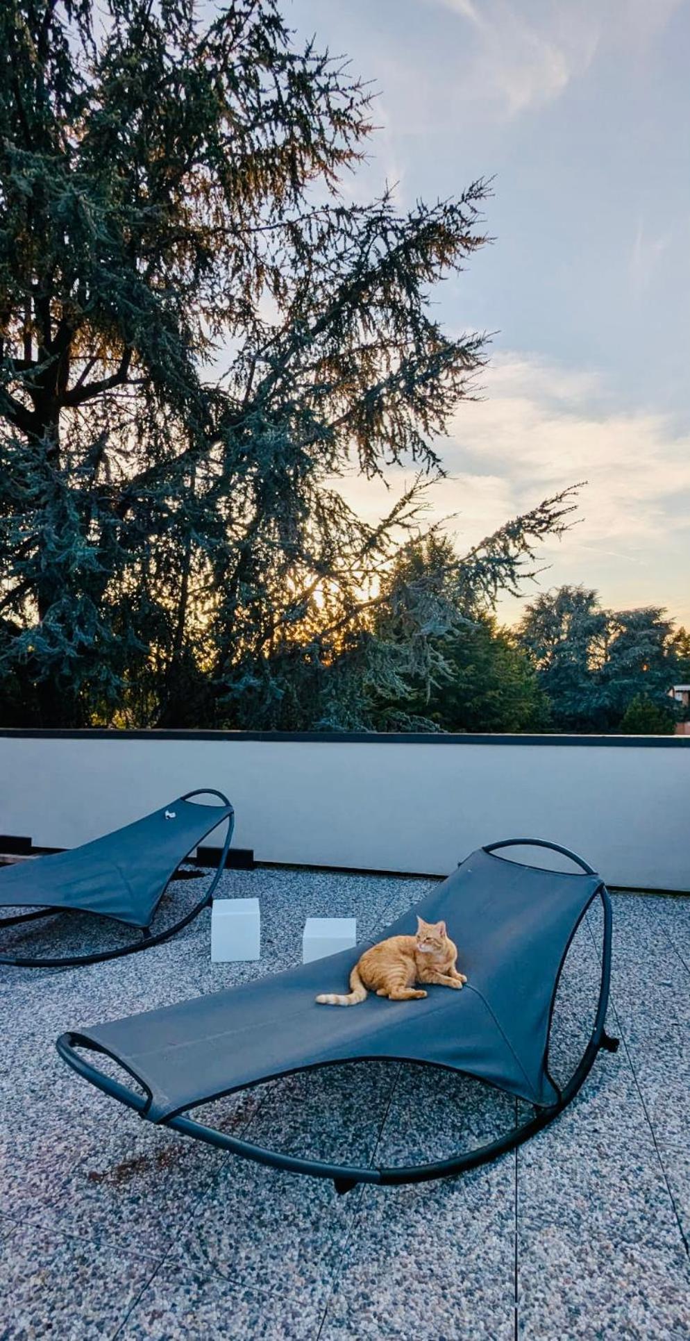 The Luxory Cat Bed & Breakfast มิลาน ภายนอก รูปภาพ