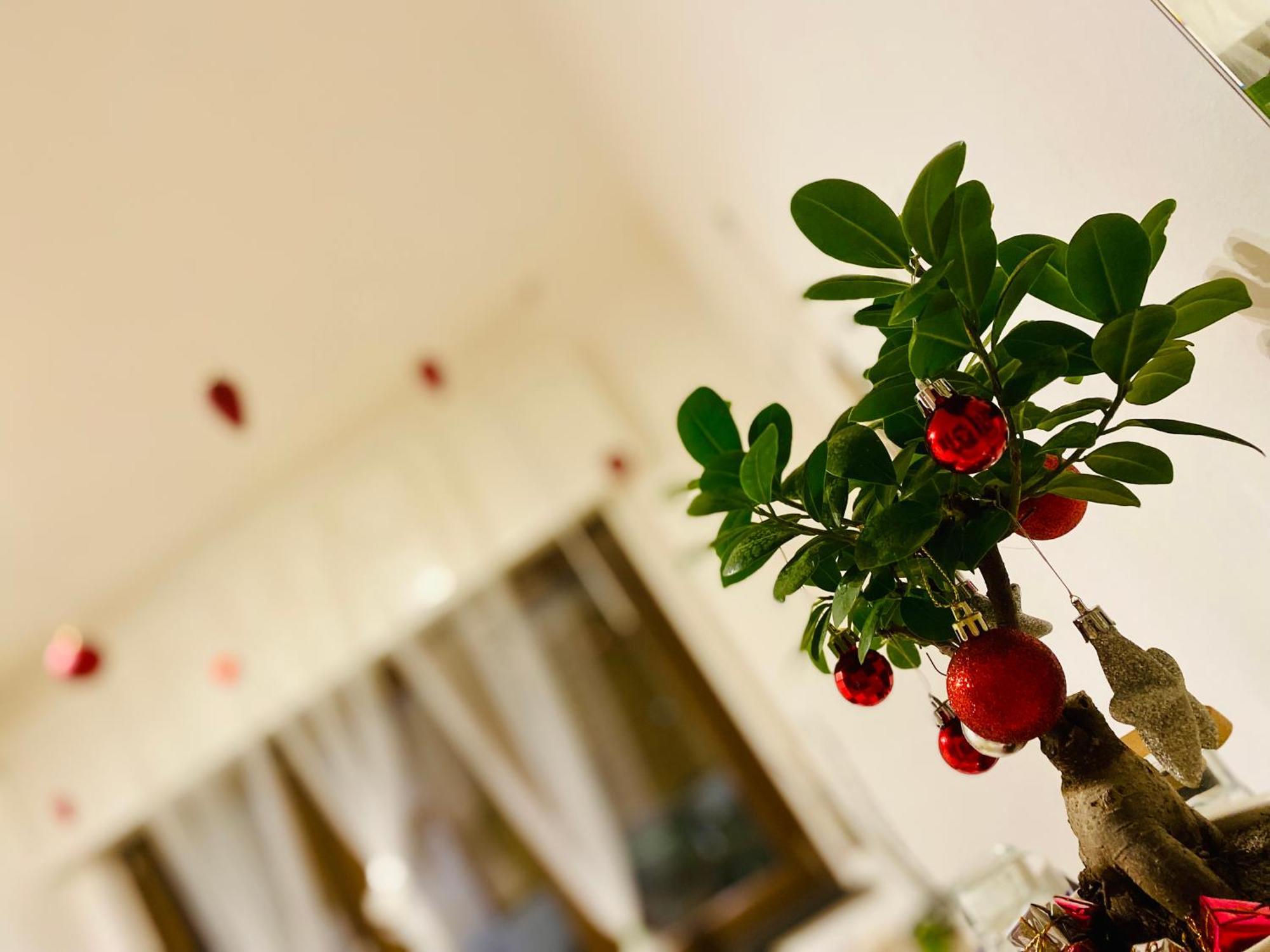 The Luxory Cat Bed & Breakfast มิลาน ภายนอก รูปภาพ